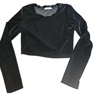 Body Central Velvet Long Sleeve Crop Top